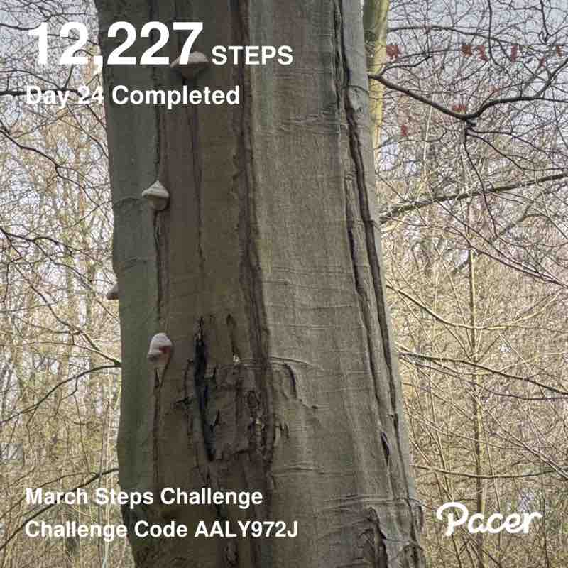 Dahlea62🚶‍♀️☀️🥋🇮🇩⛱🥐 post 3