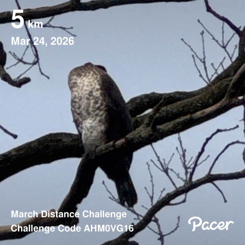 Dahlea62🚶‍♀️☀️🥋🇮🇩⛱🥐 post 1