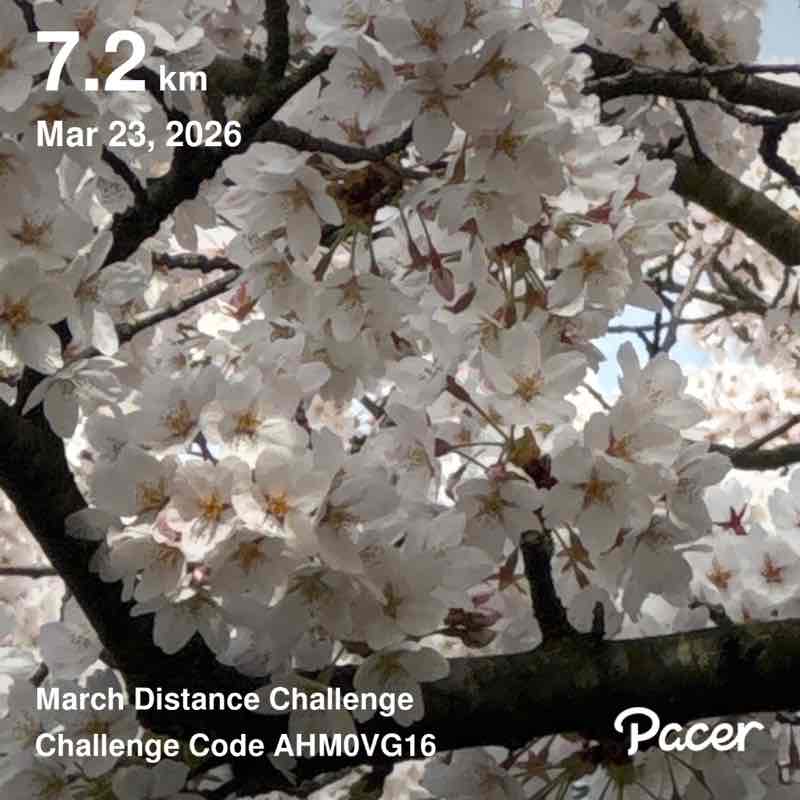 Dahlea62🚶‍♀️☀️🥋🇮🇩⛱🥐 post 1