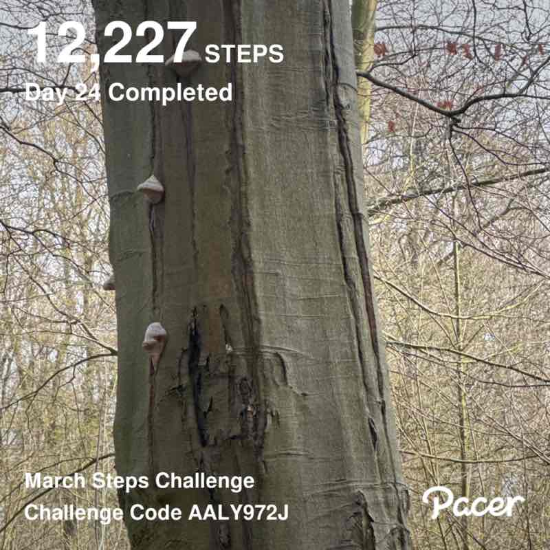 Dahlea62🚶‍♀️☀️🥋🇮🇩⛱🥐 post 1