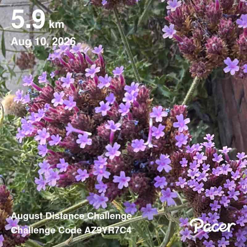 Dahlea62🚶‍♀️☀️🥋🇮🇩⛱🥐 post 3