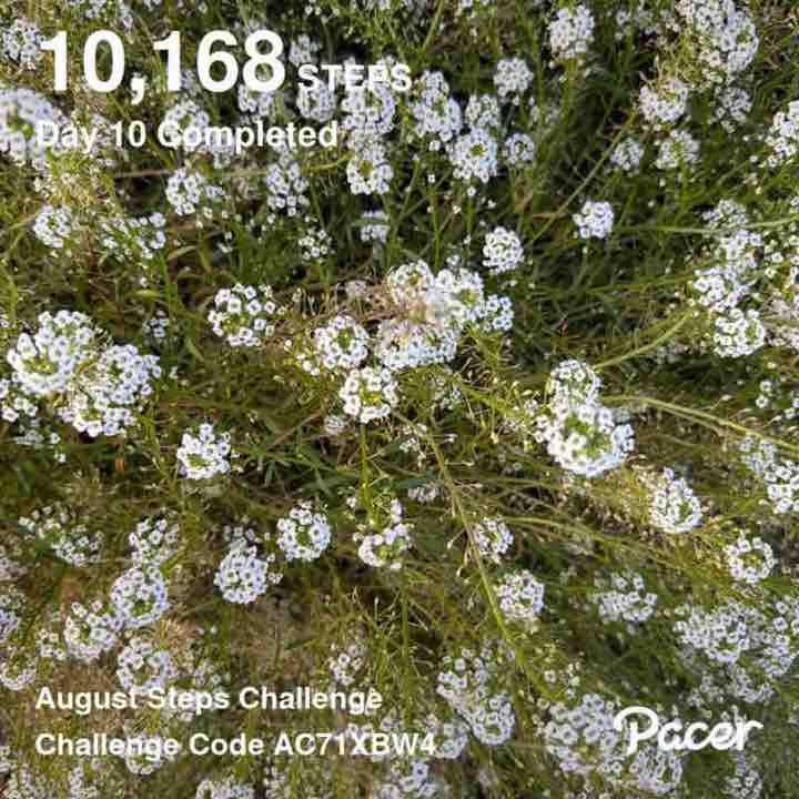 Dahlea62🚶‍♀️☀️🥋🇮🇩⛱🥐 post 3