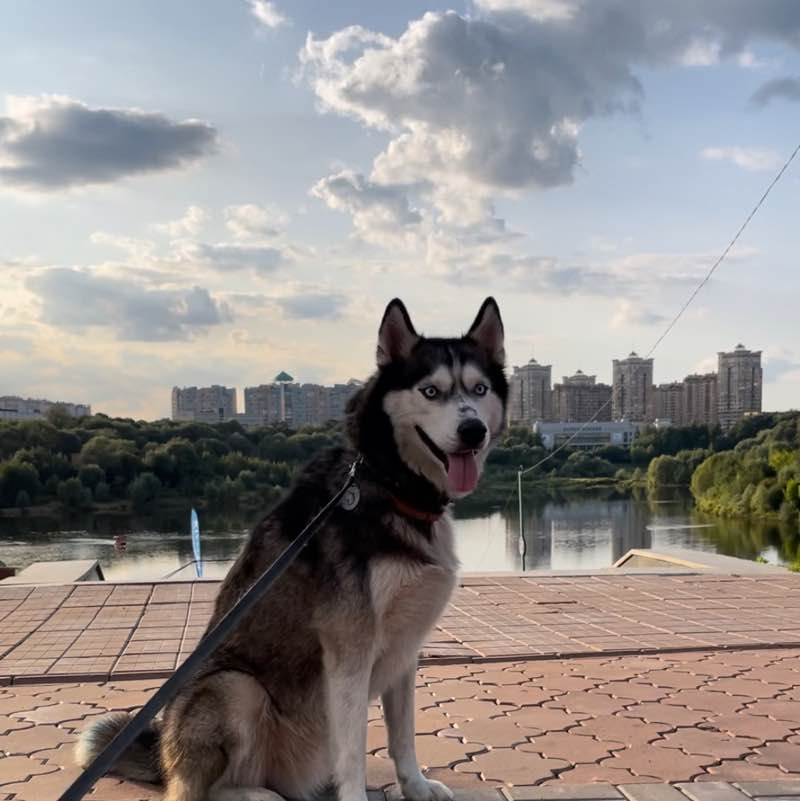 Малышка post 3