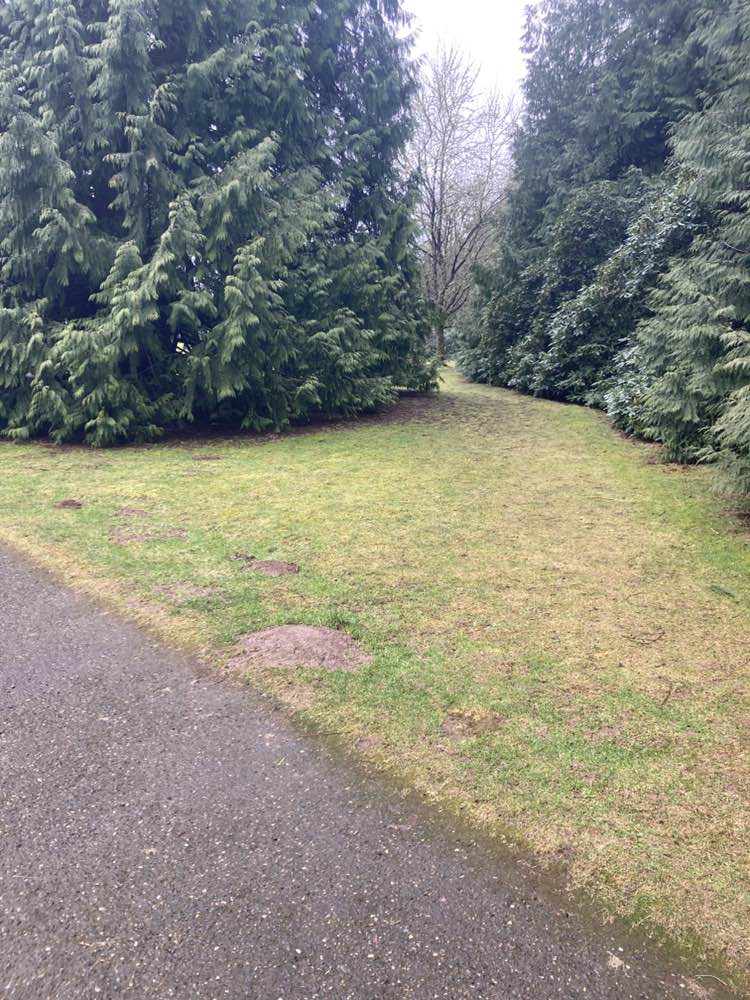 walking near me in Gabriel Park in winter