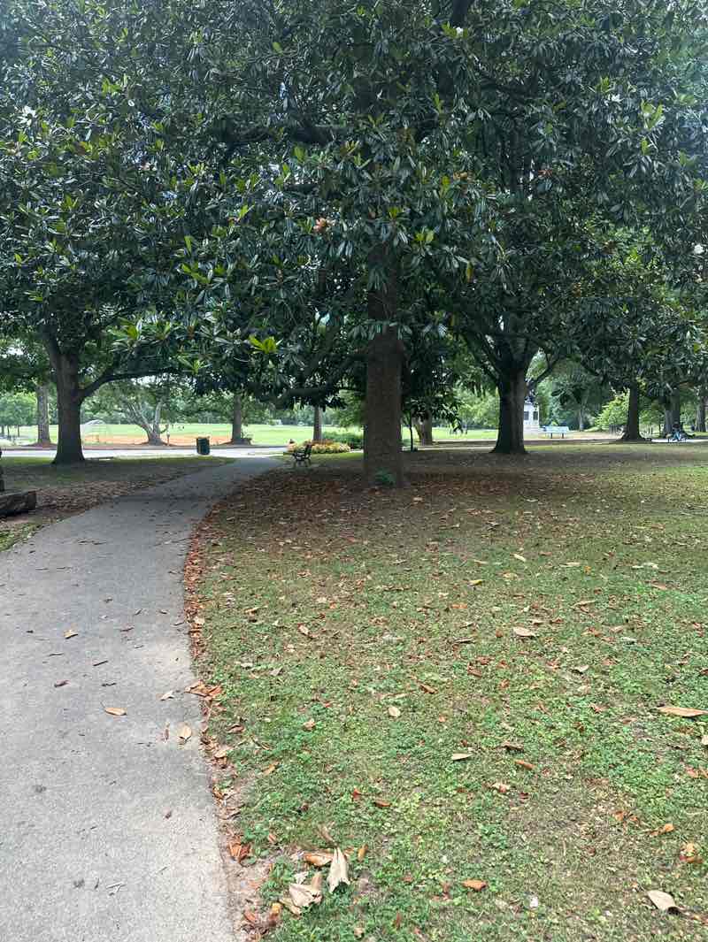 walking near me in Piedmont Park in summer