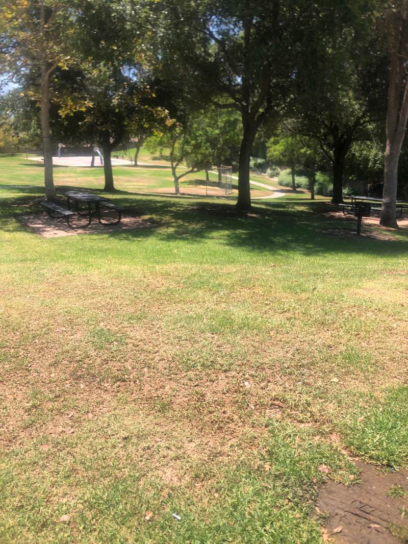 walking near me in Cresta Verde Park in summer
