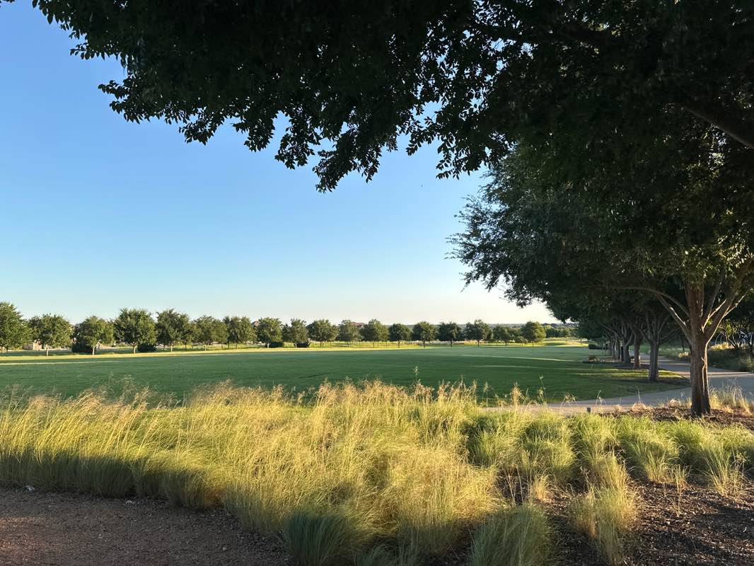 walking near me in Central Park in summer