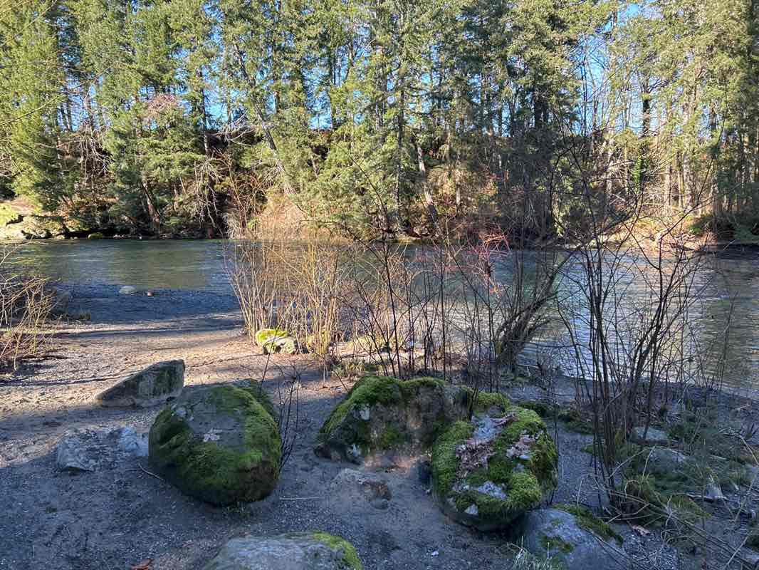 walking near me in Puntledge Park in winter