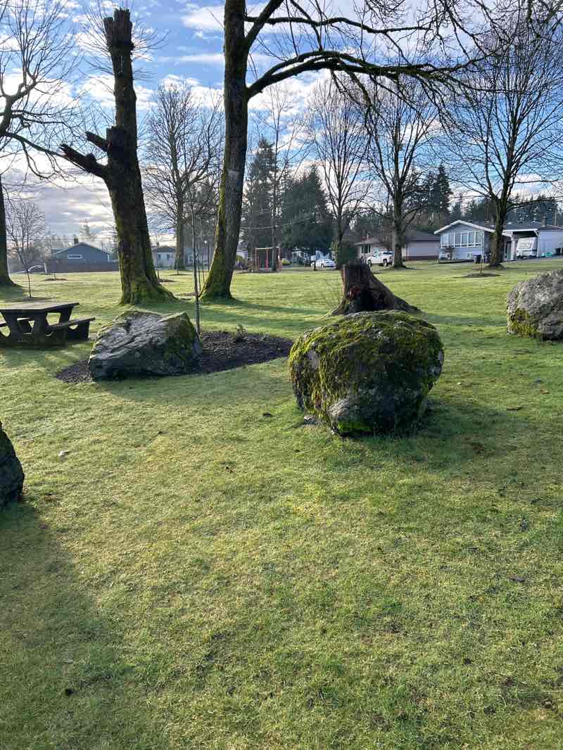 walking near me in Maple Park in winter