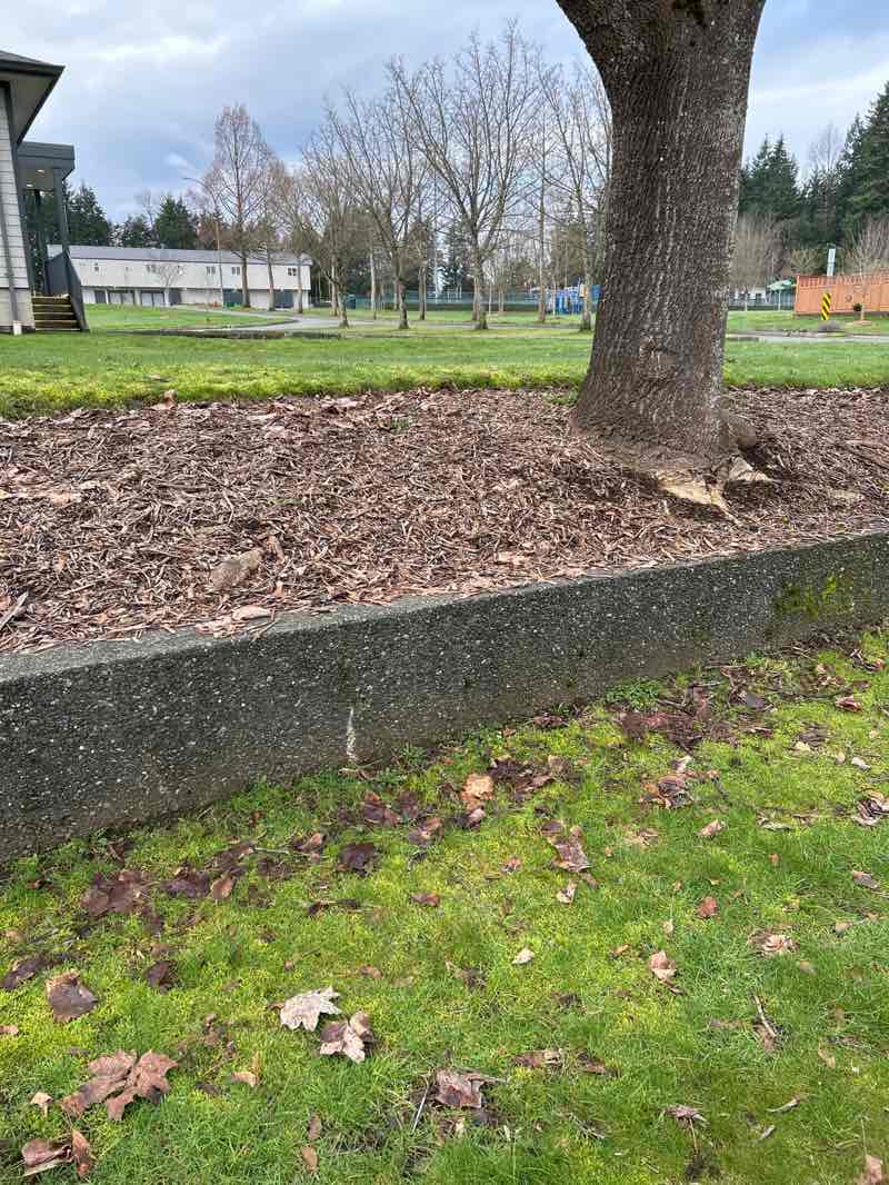 walking near me in Bill Moore Memorial Park in winter
