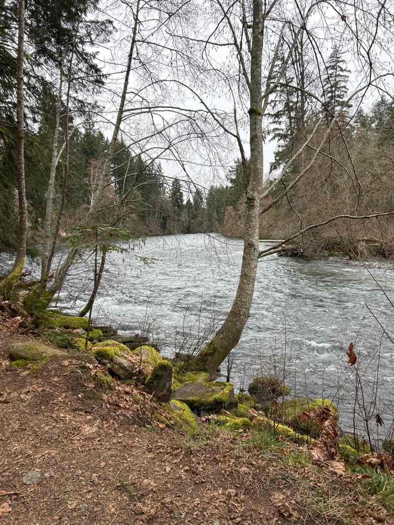 walking near me in Puntledge Park in spring