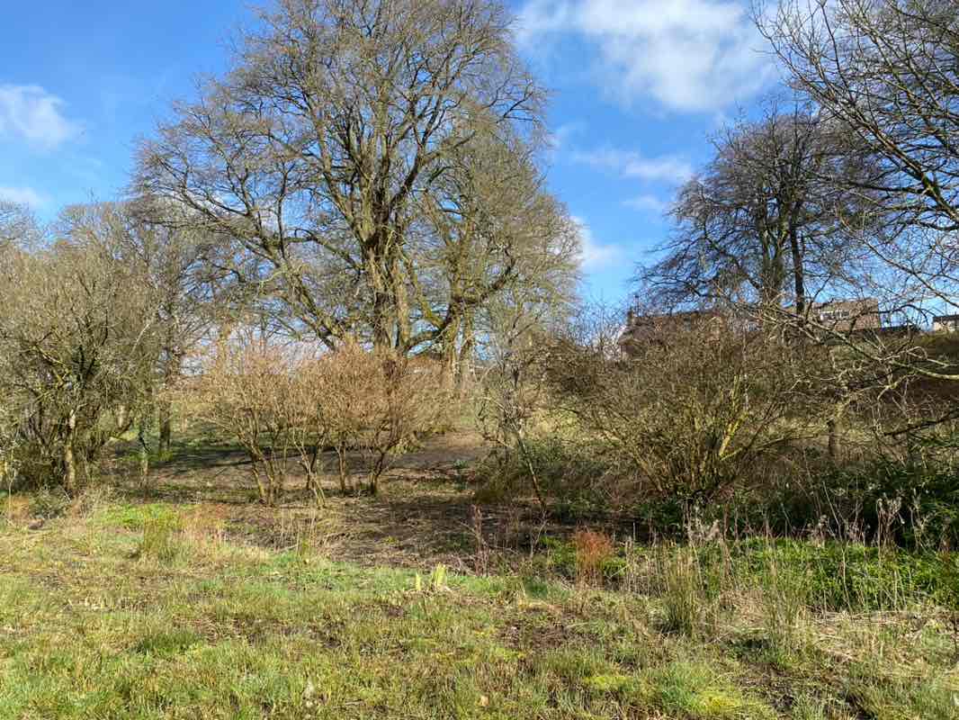 walking near me in Bishopbriggs Town Centre Public Park in spring
