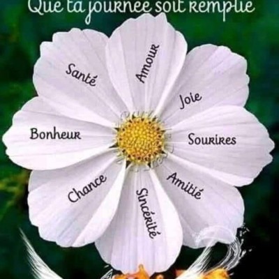 Que du Bonheur Lucy post image