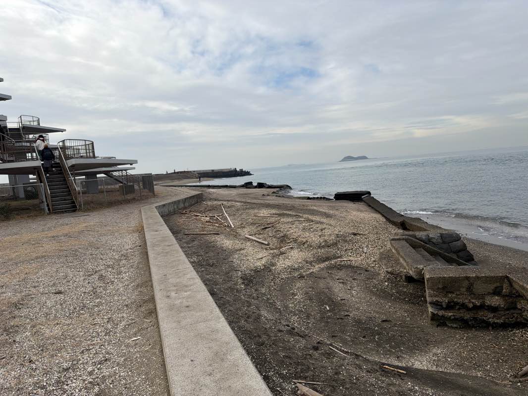 walking near me in 県立幕張海浜公園 (Gブロック) in winter