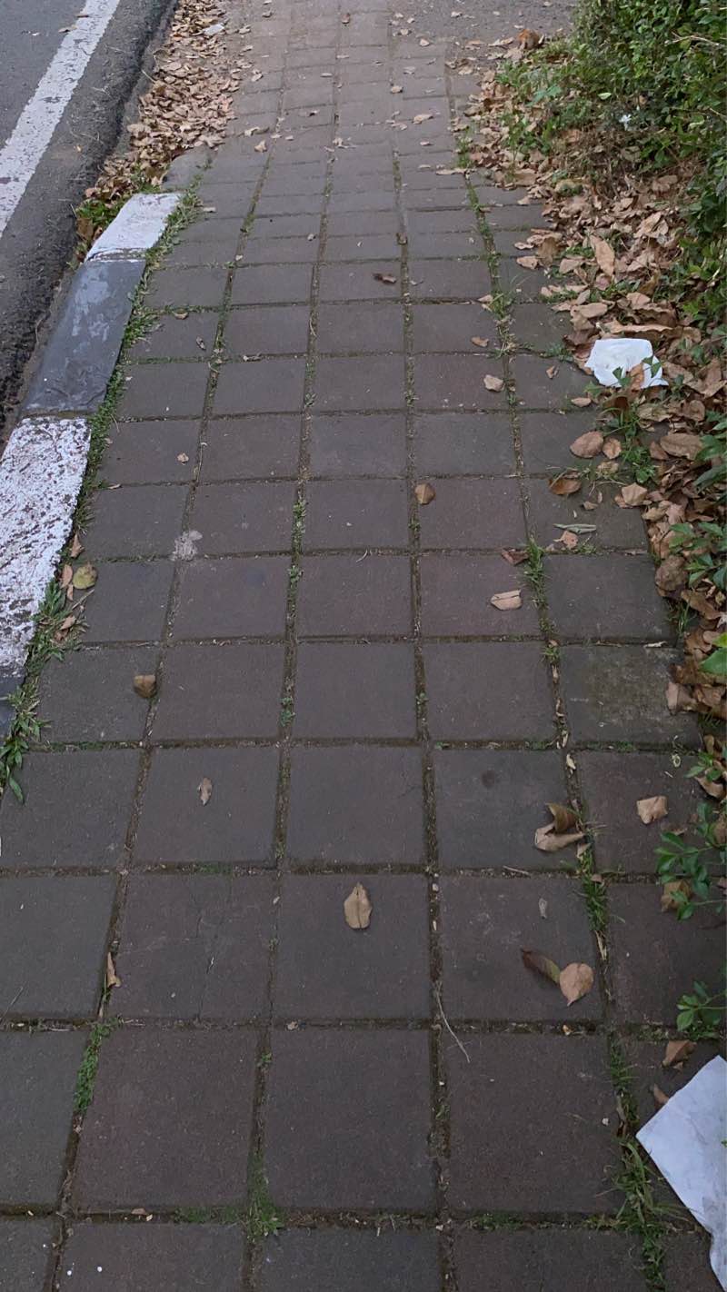 walking near me in Taman Monumen Perjuangan in summer