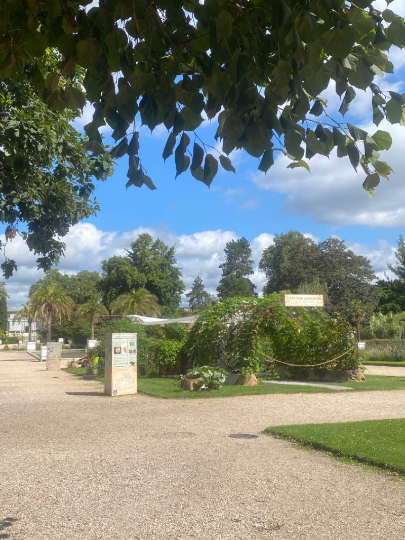 walking near me in Jardin des Plantes in winter