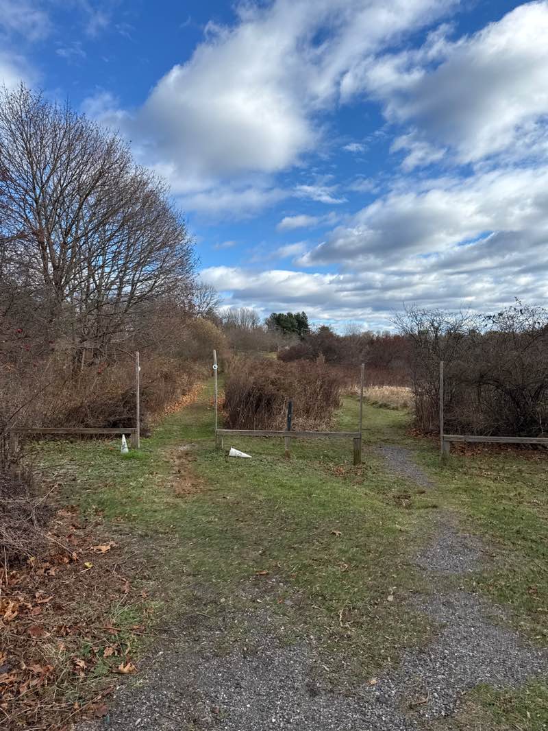 walking near me in McCarthy Park in autumn