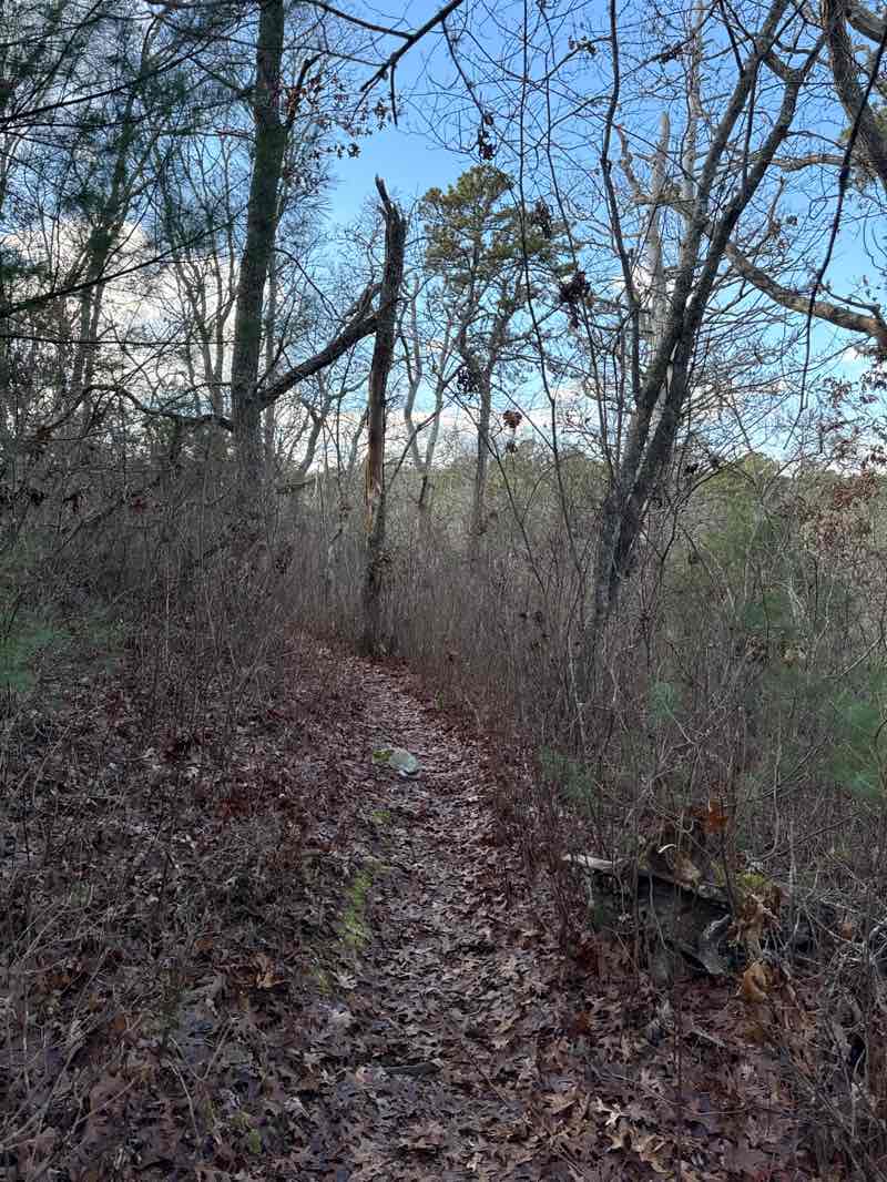 walking near me in Four Ponds Conservation Area in autumn