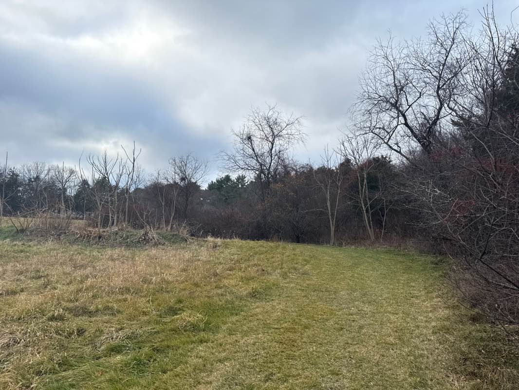 walking near me in Village Street Conservation Area in autumn