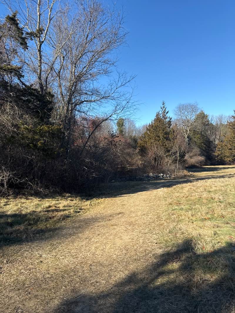walking near me in Oak Grove Farm in winter