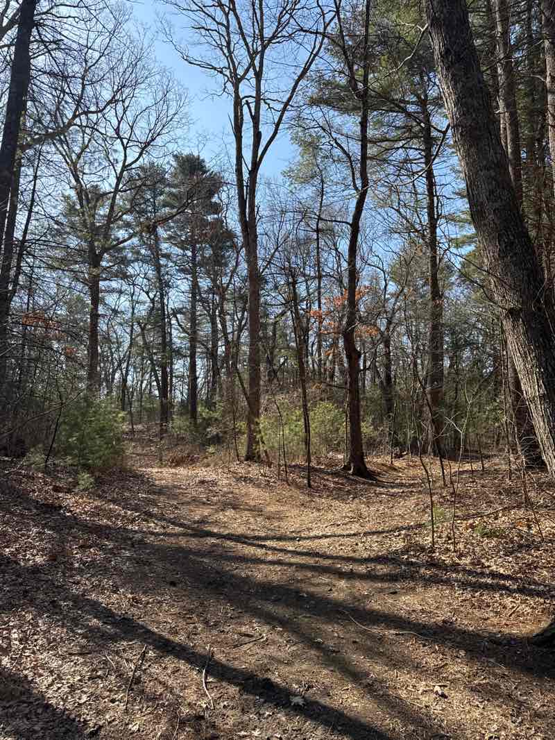 walking near me in Caryl Park in spring
