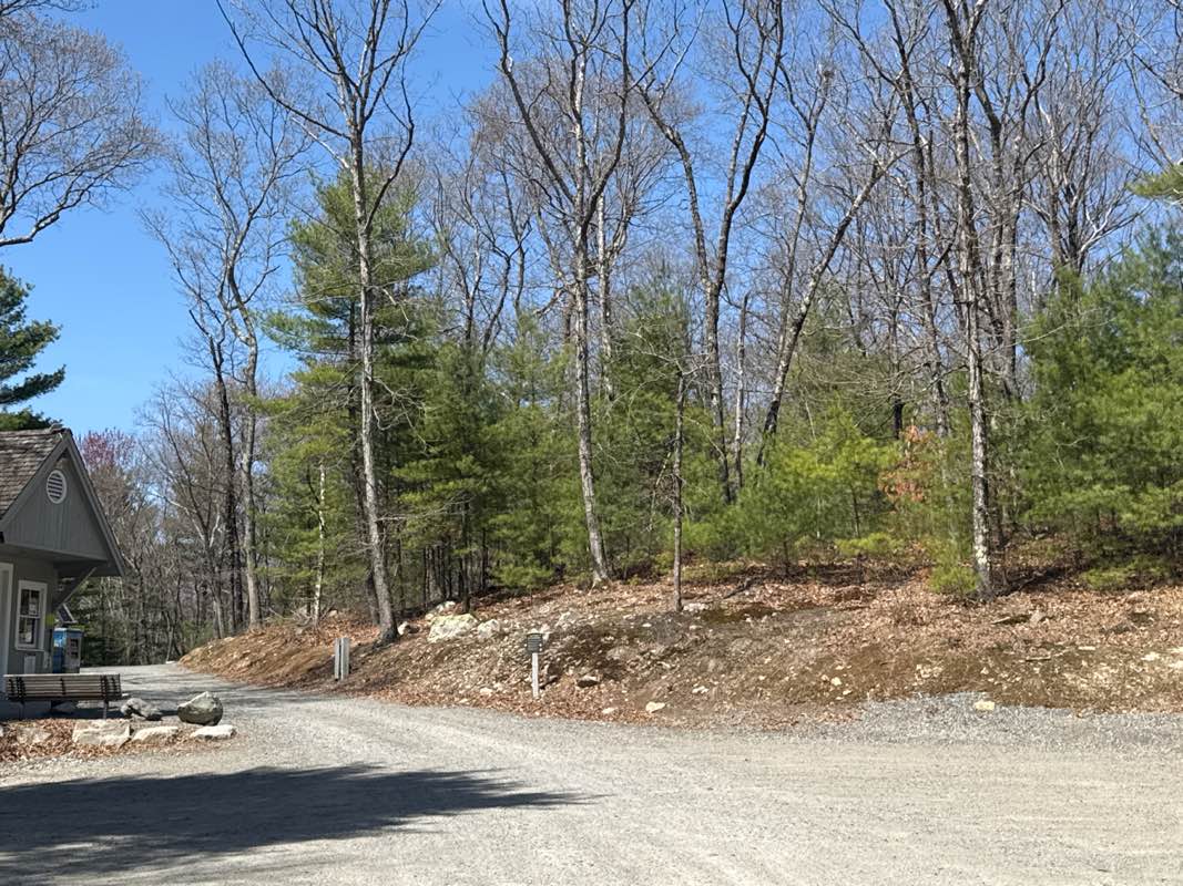 walking near me in Hale Reservation in spring