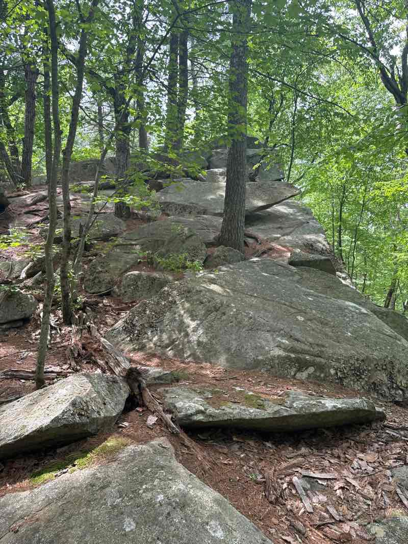 walking near me in College Rock Park in spring