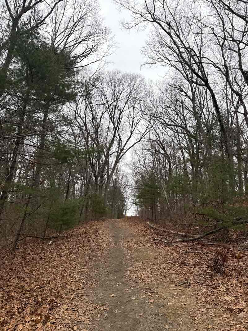 walking near me in Former Medfield State Hospital Grounds in winter