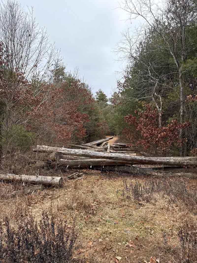 walking near me in Freetown-Fall River State Forest in winter