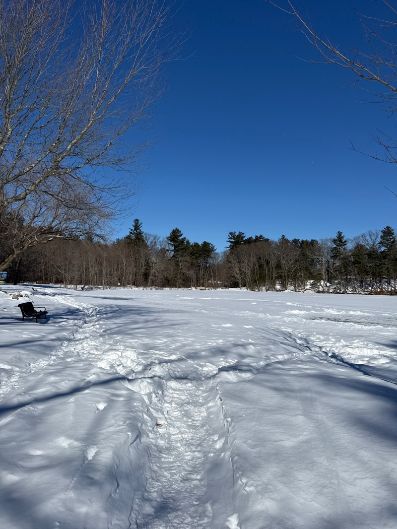 walking near me in Choate Park in winter