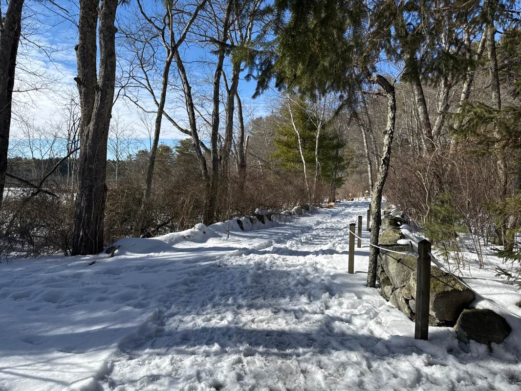 walking near me in Bristol Blake State Res in winter