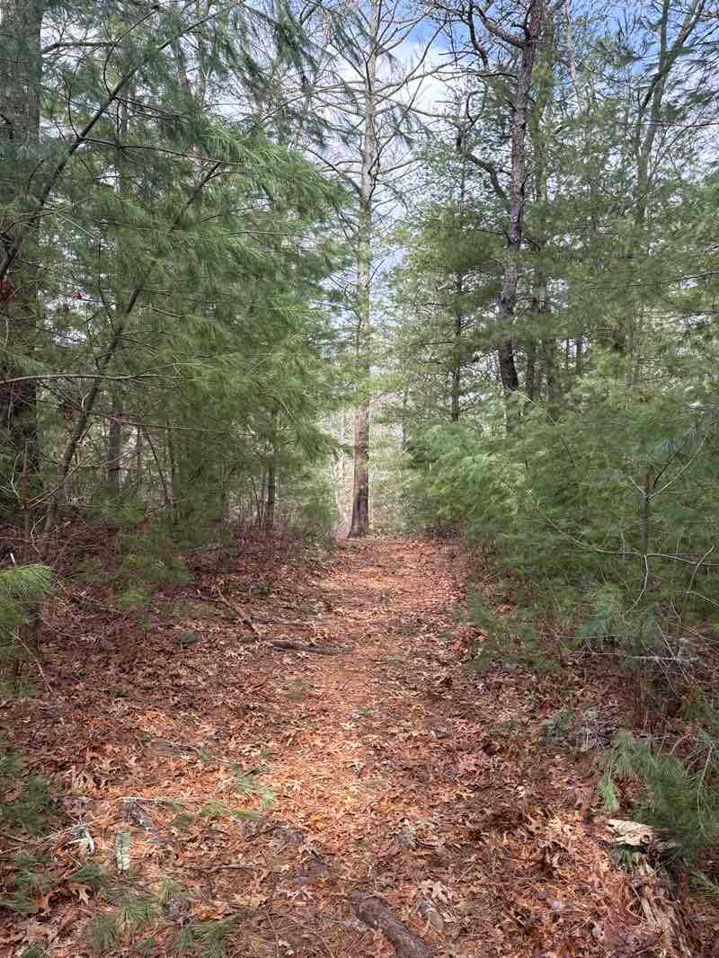 walking near me in Four Ponds Conservation Area in spring