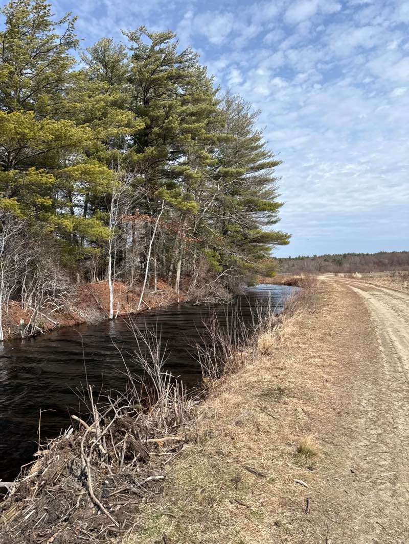 walking near me in Burrage Pond Wildlife Management Area in spring