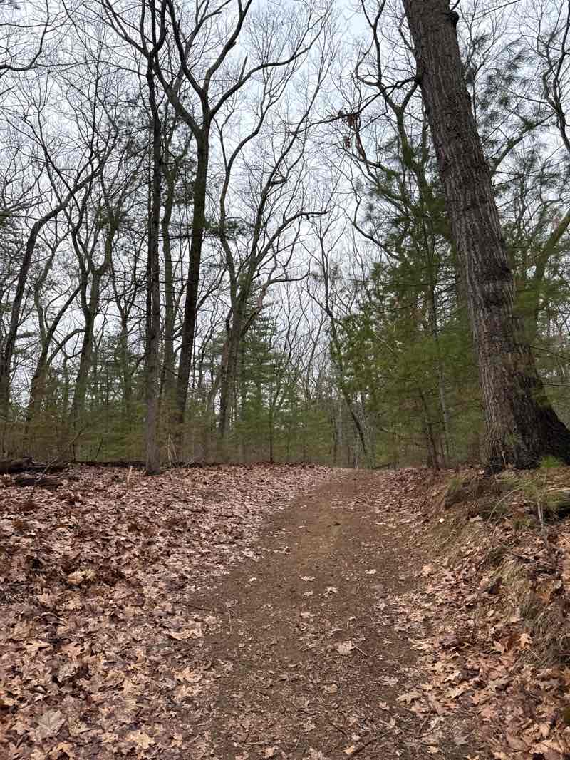 walking near me in Wylde Woods in spring