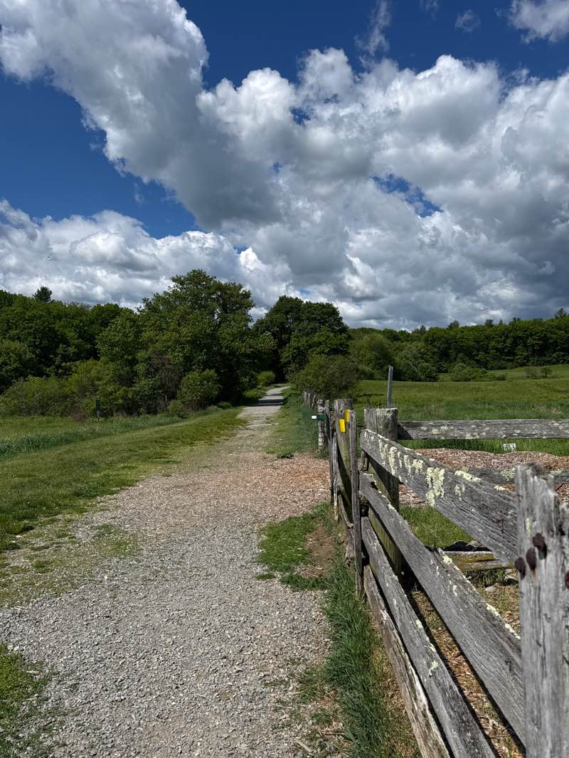 walking near me in Adams Farm in summer