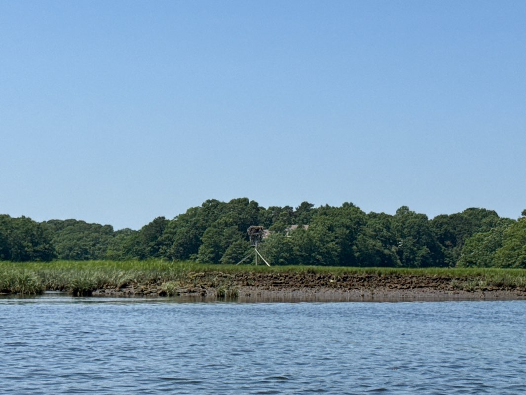 walking near me in Pocasset River in summer