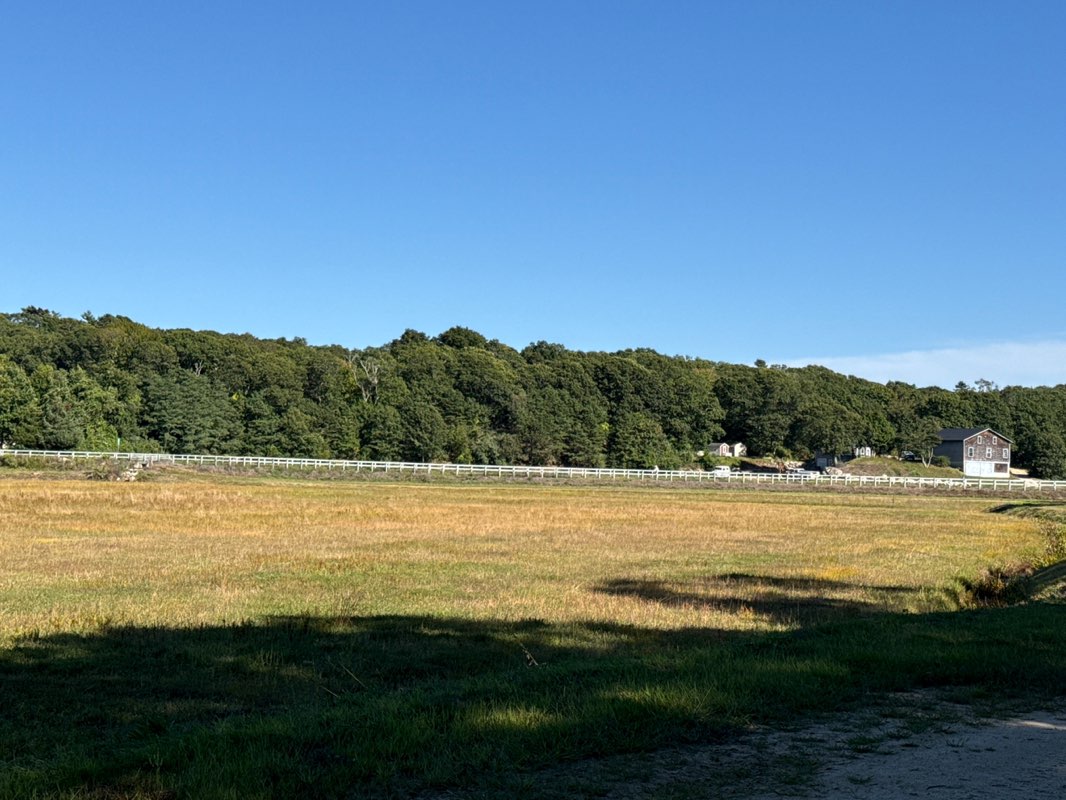 walking near me in Wing Pond in autumn