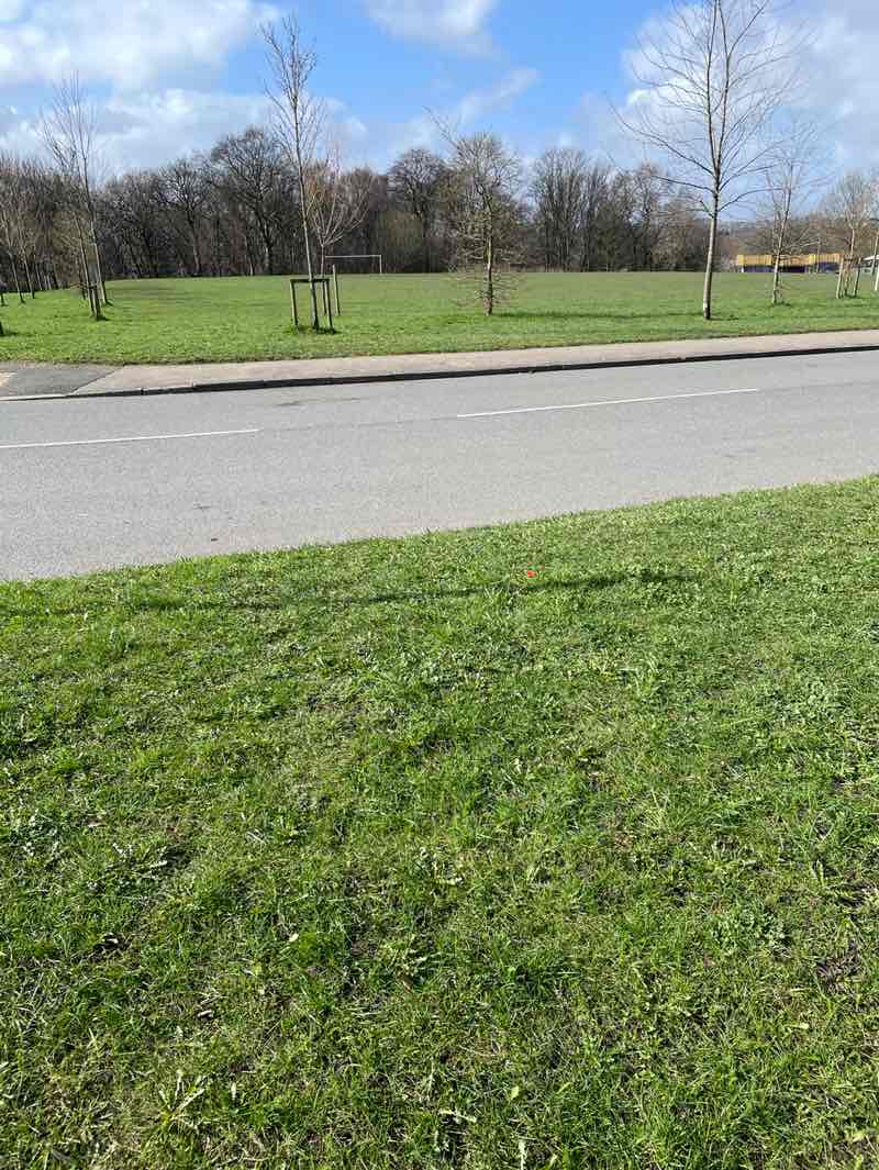 walking near me in Cranmer Recreation ground in spring