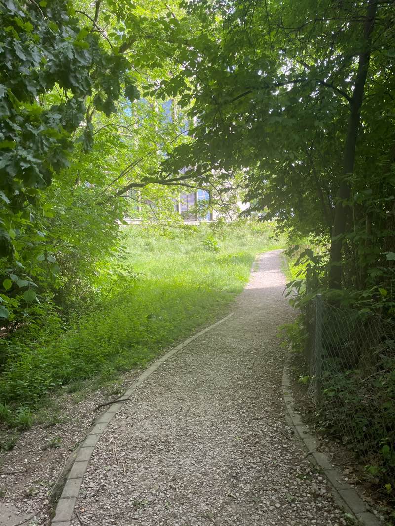 walking near me in Parc du Voiret in spring