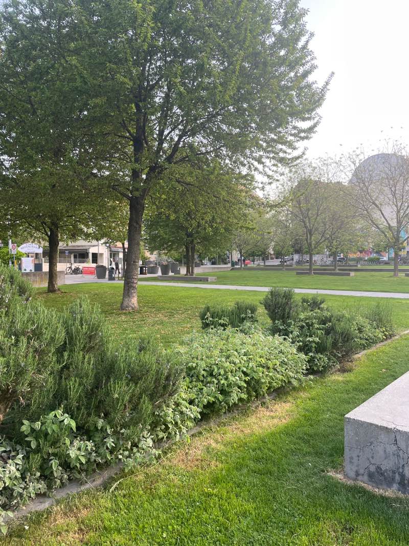 walking near me in Parc des Chaumettes in spring