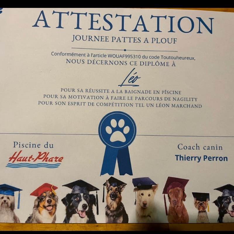 Vive la life reynald76 post image