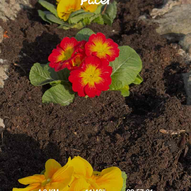 Kathrin Schade post 1