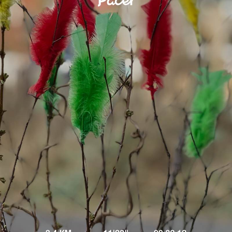 Kathrin Schade post 1