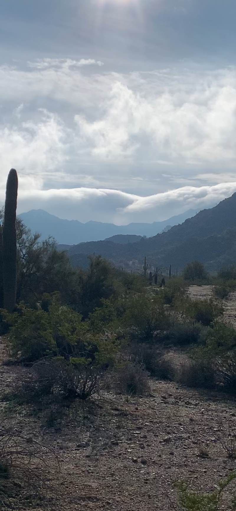 walking near me in Sonoran Desert National Monument in winter