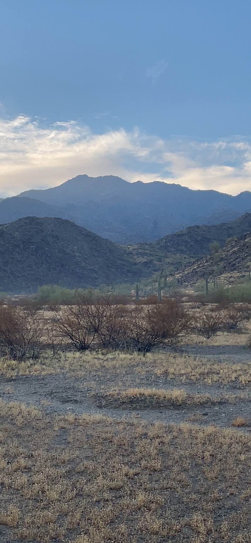 walking near me in Sonoran Desert National Monument in winter