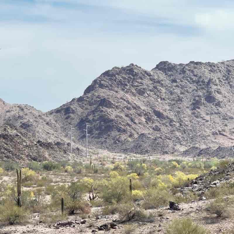 Jerry 🌵🦎🌞⚖️😎 post 2