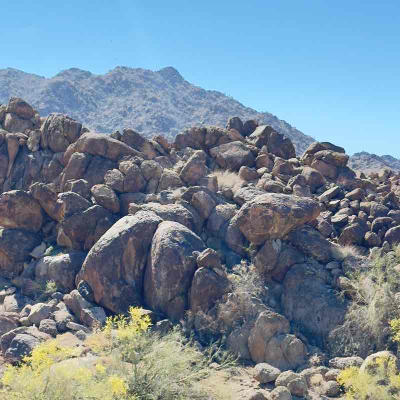 Jerry 🌵🦎🌞⚖️😎 post 2