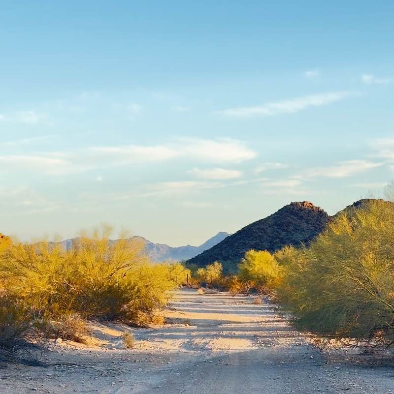 Jerry 🌵🦎🌞⚖️😎 post 2