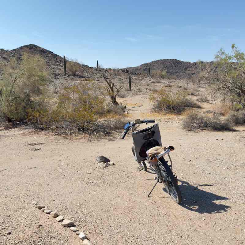 Jerry 🌵🦎🌞⚖️😎 post 2