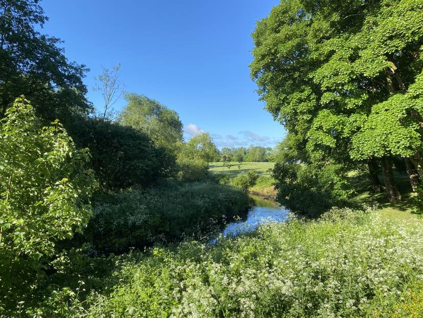 walking near me in Six Mile Water River Park in spring